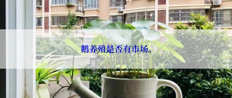 鹅养殖是否有市场。