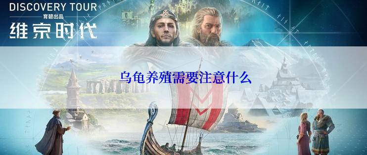  乌龟养殖需要注意什么