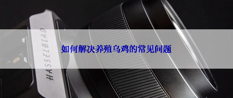 如何解决养殖乌鸡的常见问题