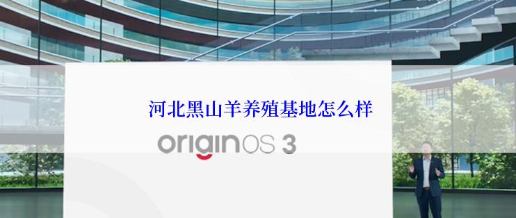  河北黑山羊养殖基地怎么样