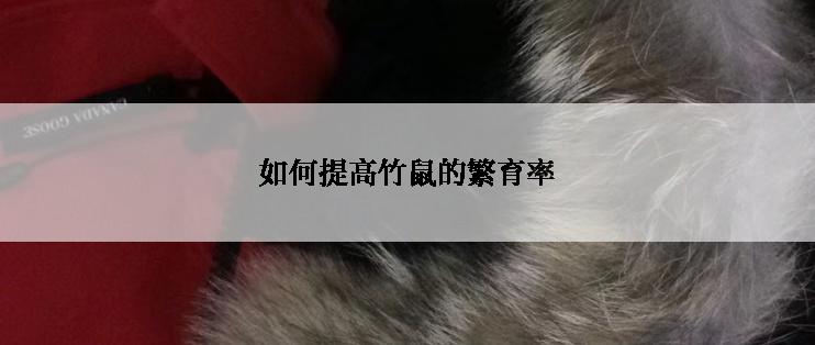 如何提高竹鼠的繁育率