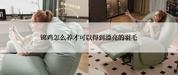 锦鸡怎么养才可以得到漂亮的羽毛