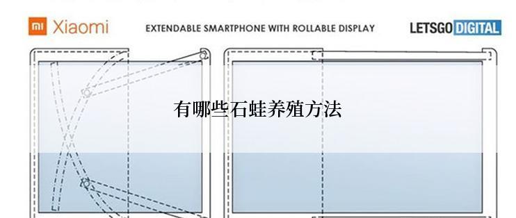 有哪些石蛙养殖方法