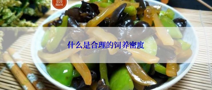 什么是合理的饲养密度