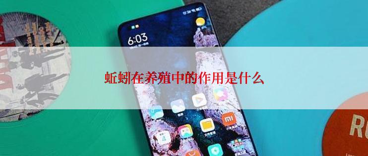 蚯蚓在养殖中的作用是什么