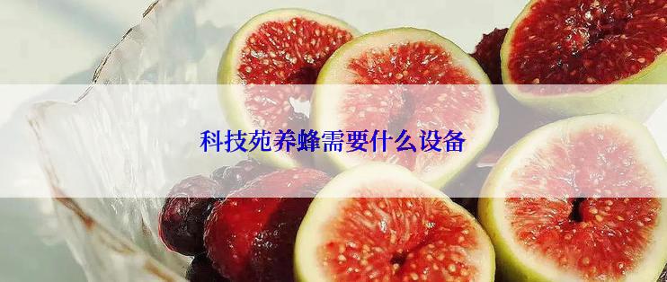 科技苑养蜂需要什么设备