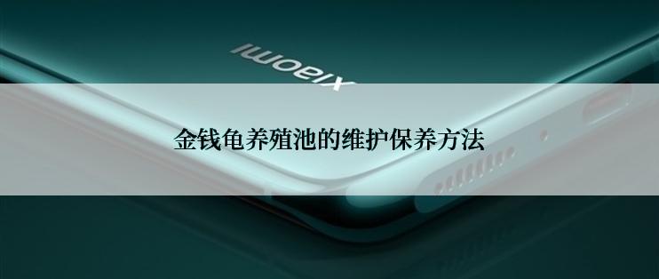 金钱龟养殖池的维护保养方法