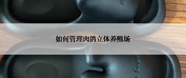 如何管理肉鸽立体养殖场