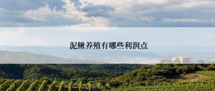  泥鳅养殖有哪些利润点