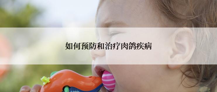 如何预防和治疗肉鸽疾病