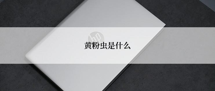 黄粉虫是什么