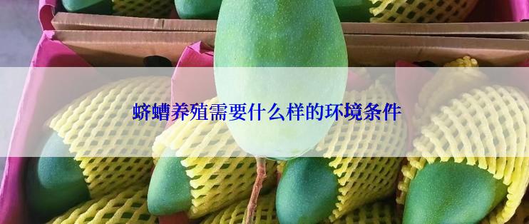  蛴螬养殖需要什么样的环境条件