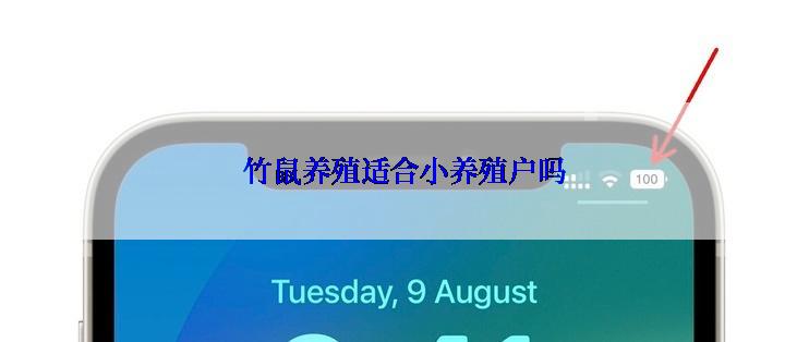 竹鼠养殖适合小养殖户吗