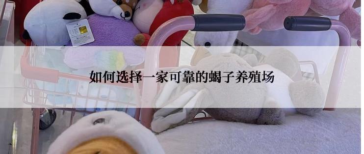 如何选择一家可靠的蝎子养殖场