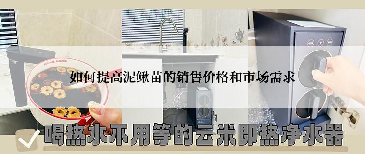 如何提高泥鳅苗的销售价格和市场需求