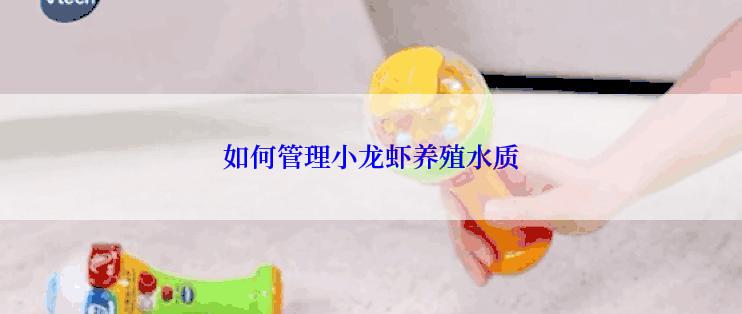 如何管理小龙虾养殖水质