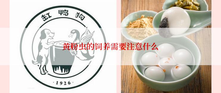 黄粉虫的饲养需要注意什么