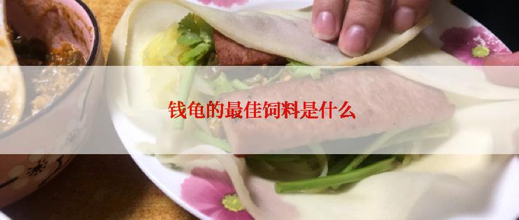  钱龟的最佳饲料是什么