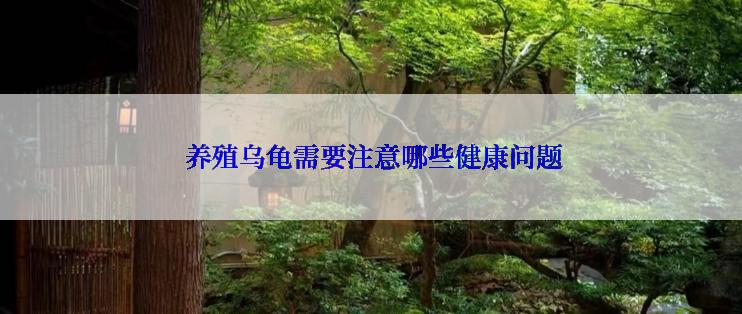  养殖乌龟需要注意哪些健康问题