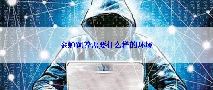 金蝉饲养需要什么样的环境