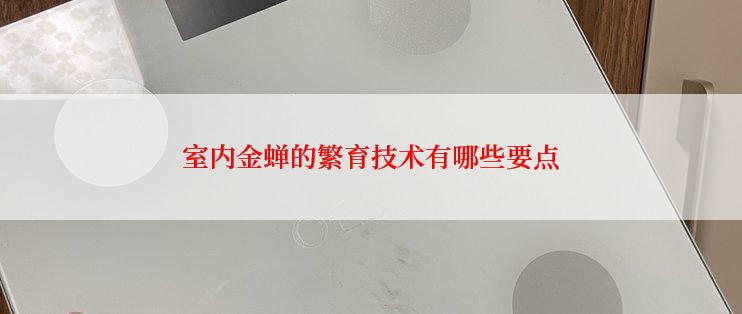 室内金蝉的繁育技术有哪些要点