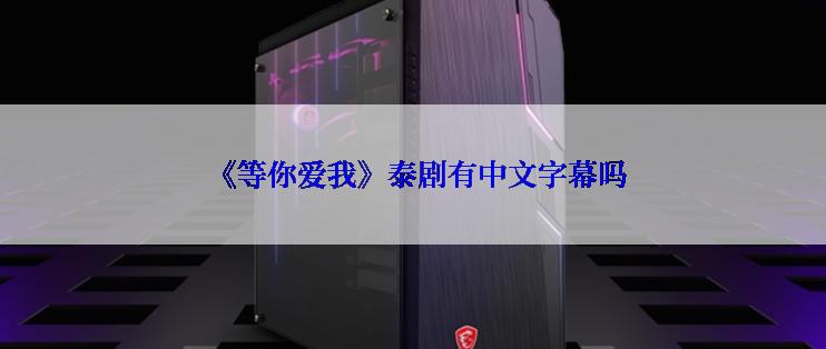  《等你爱我》泰剧有中文字幕吗