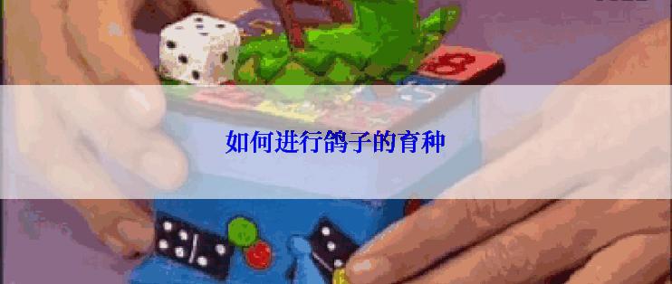 如何进行鸽子的育种