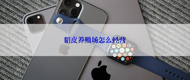 貂皮养殖场怎么经营