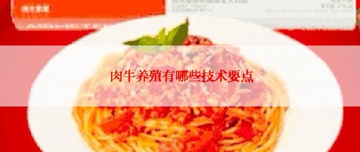  肉牛养殖有哪些技术要点