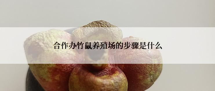 合作办竹鼠养殖场的步骤是什么