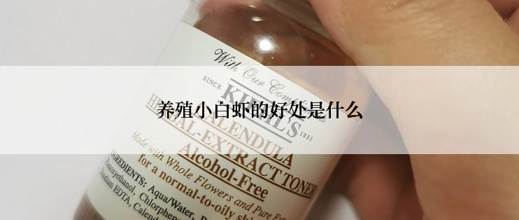 养殖小白虾的好处是什么