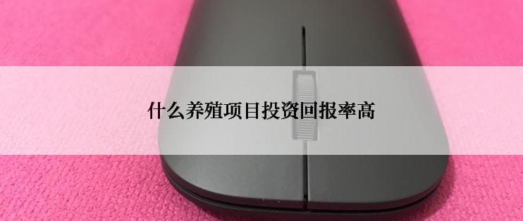 什么养殖项目投资回报率高