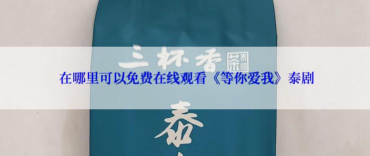  在哪里可以免费在线观看《等你爱我》泰剧