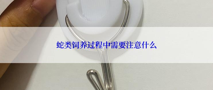 蛇类饲养过程中需要注意什么