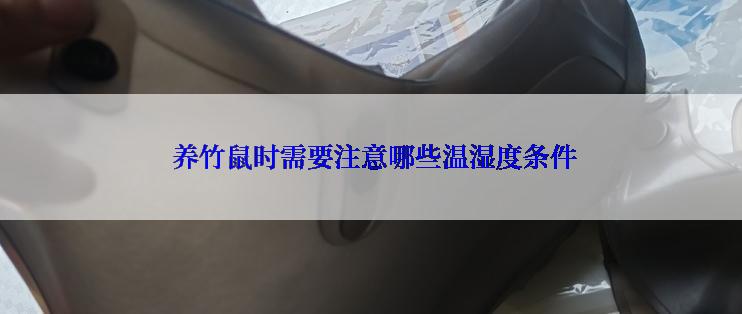  养竹鼠时需要注意哪些温湿度条件