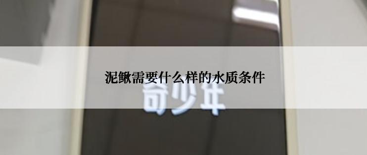  泥鳅需要什么样的水质条件