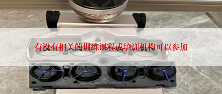 有没有相关的训练课程或培训机构可以参加