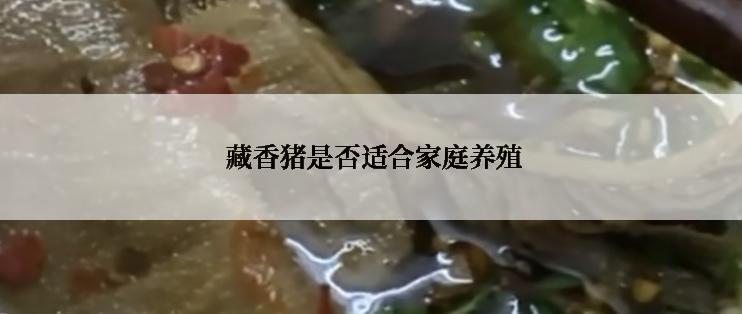  藏香猪是否适合家庭养殖