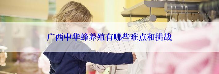 广西中华蜂养殖有哪些难点和挑战