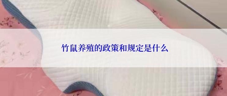  竹鼠养殖的政策和规定是什么