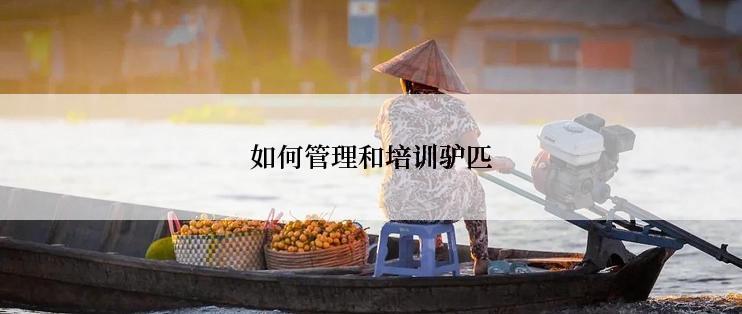 如何管理和培训驴匹