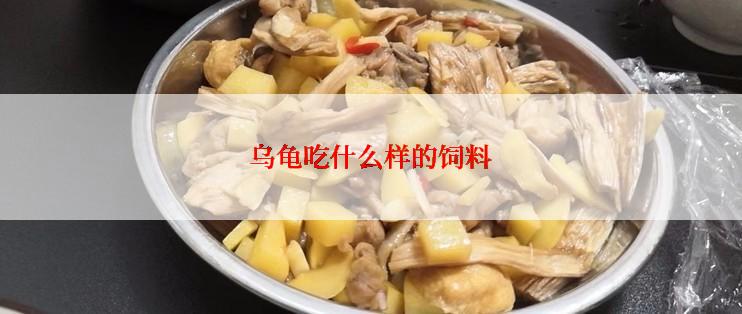 乌龟吃什么样的饲料