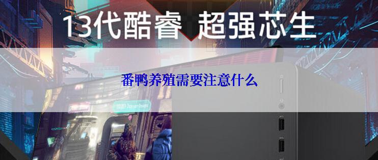 番鸭养殖需要注意什么