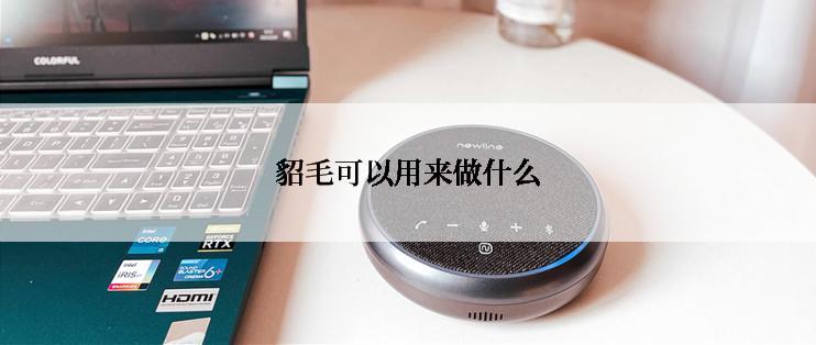 貂毛可以用来做什么