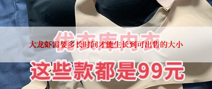 大龙虾需要多长时间才能生长到可出售的大小