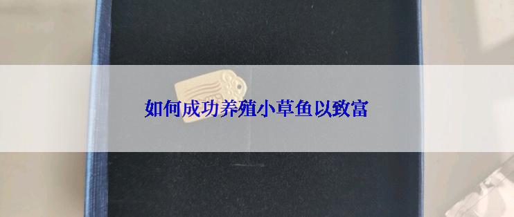 如何成功养殖小草鱼以致富