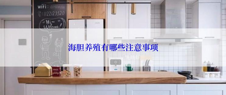 海胆养殖有哪些注意事项