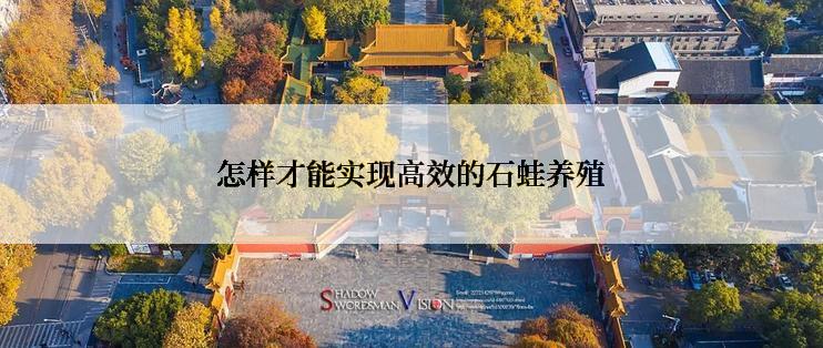 怎样才能实现高效的石蛙养殖