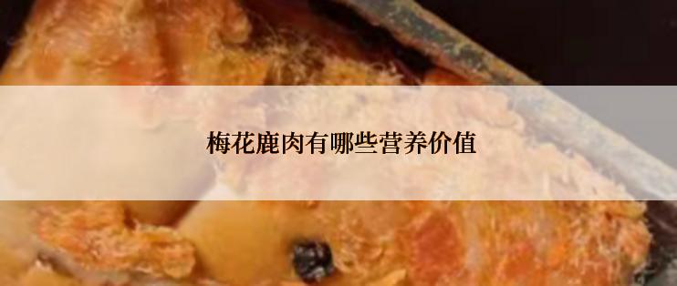  梅花鹿肉有哪些营养价值