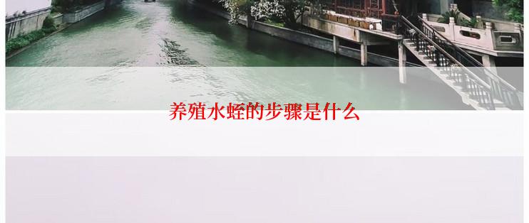 养殖水蛭的步骤是什么